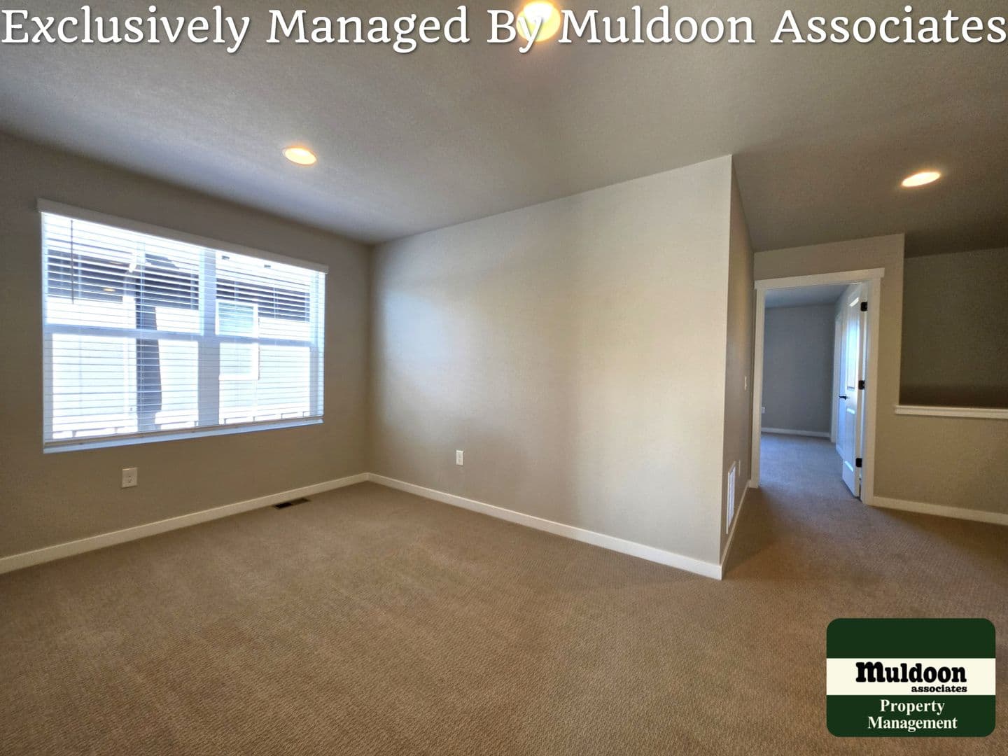 Colorado Springs Townhome: 3629 Levy Park Drive