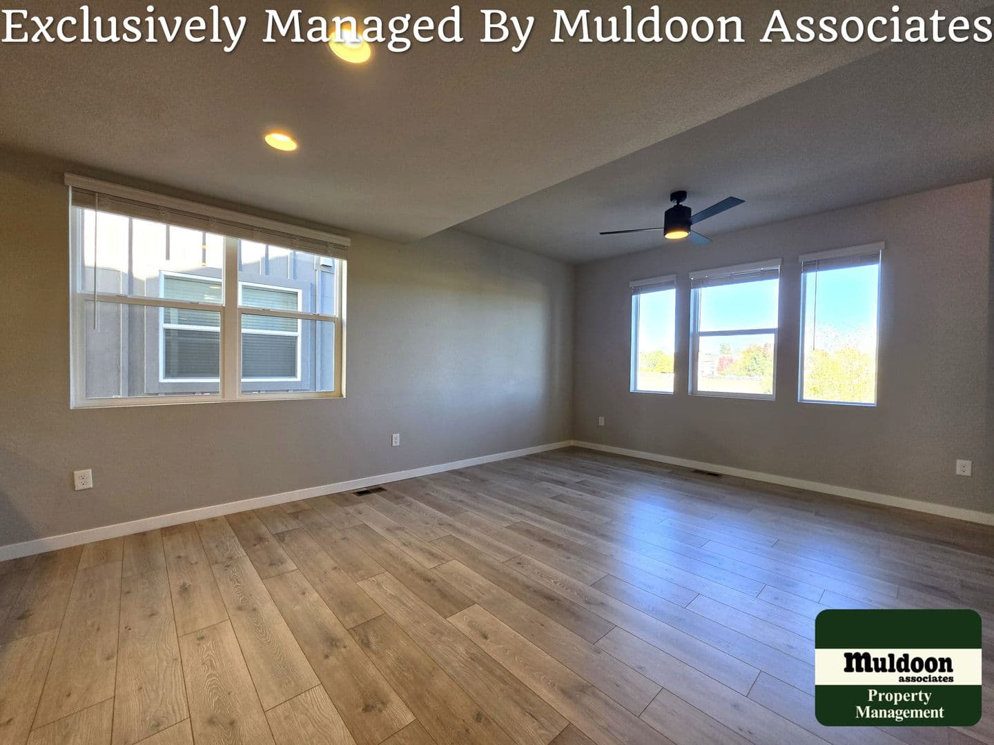 Colorado Springs Townhome: 3629 Levy Park Drive