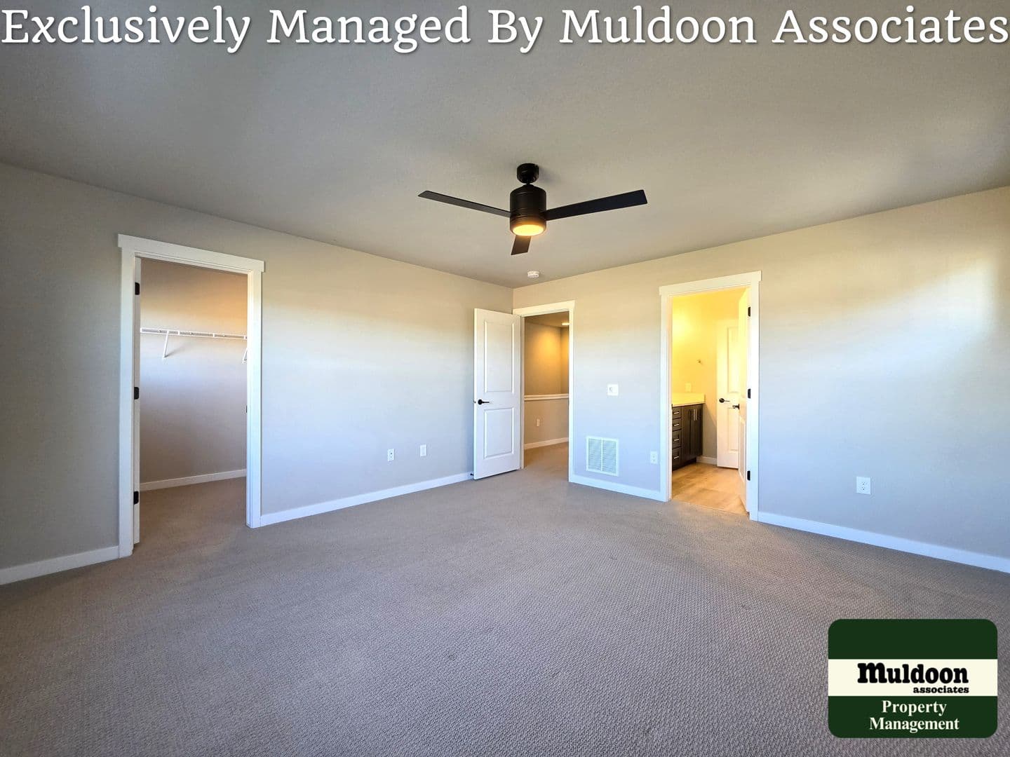 Colorado Springs Townhome: 3629 Levy Park Drive