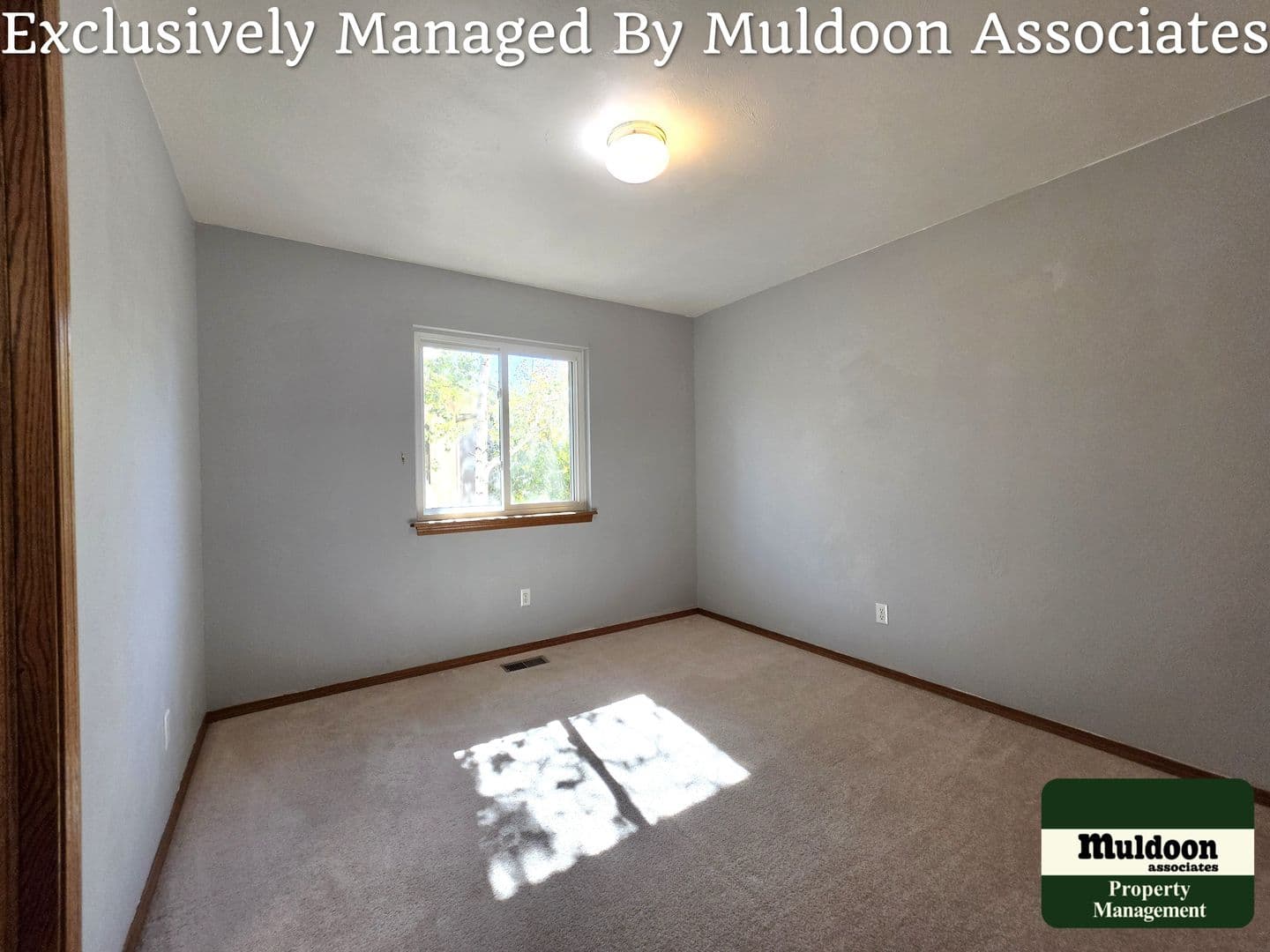 Colorado Springs House: 5552 Wells Fargo Dr