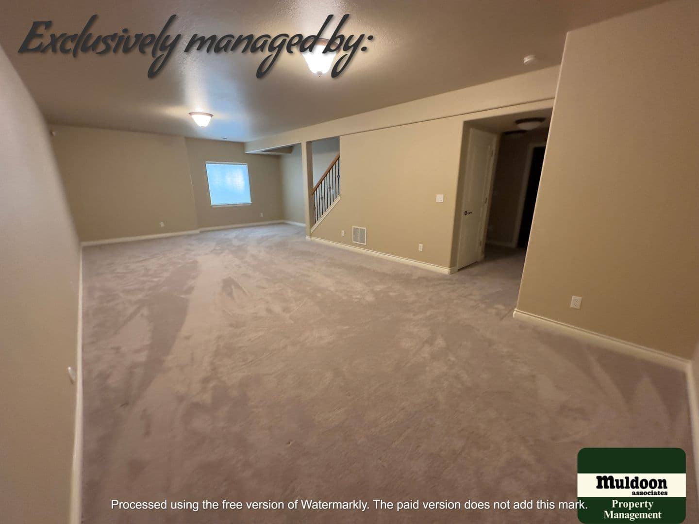 Colorado Springs House: 2247 Conservatory Pt
