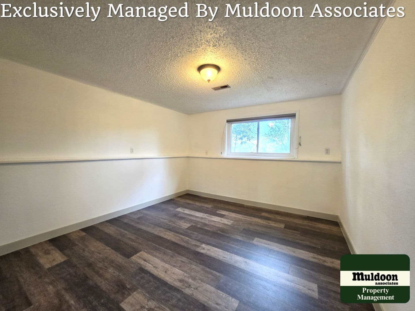 Colorado Springs House: 1450 Luna Vista Drive