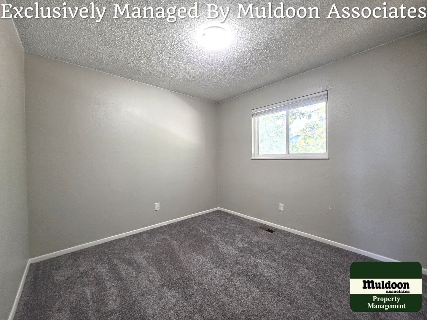 Colorado Springs House: 1243 Chiricahua Dr