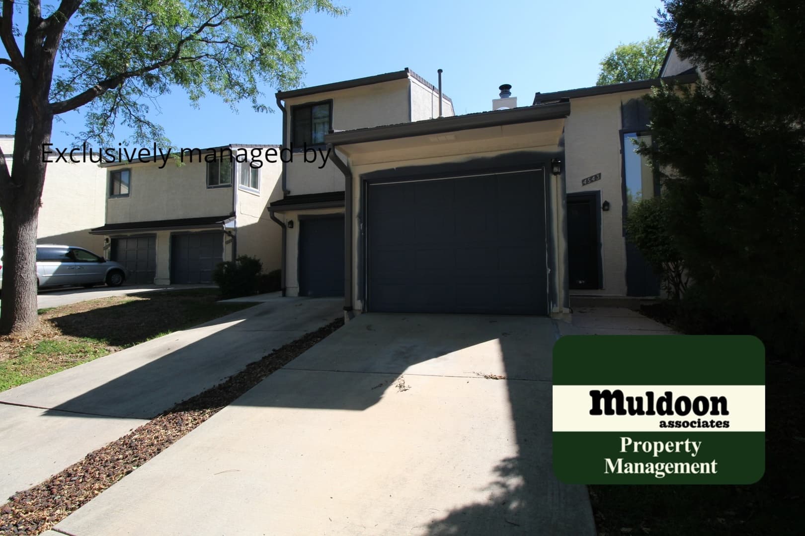 Colorado Springs House: 4543 Castlepoint Dr
