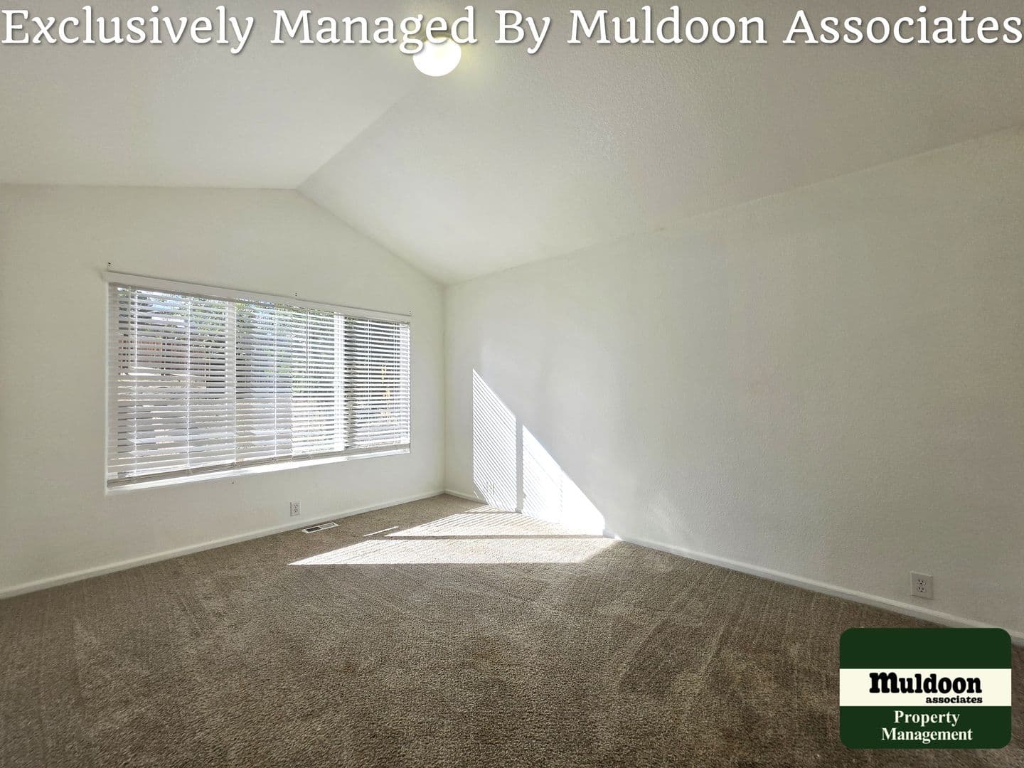 Colorado House: 7517 Sistine Ln