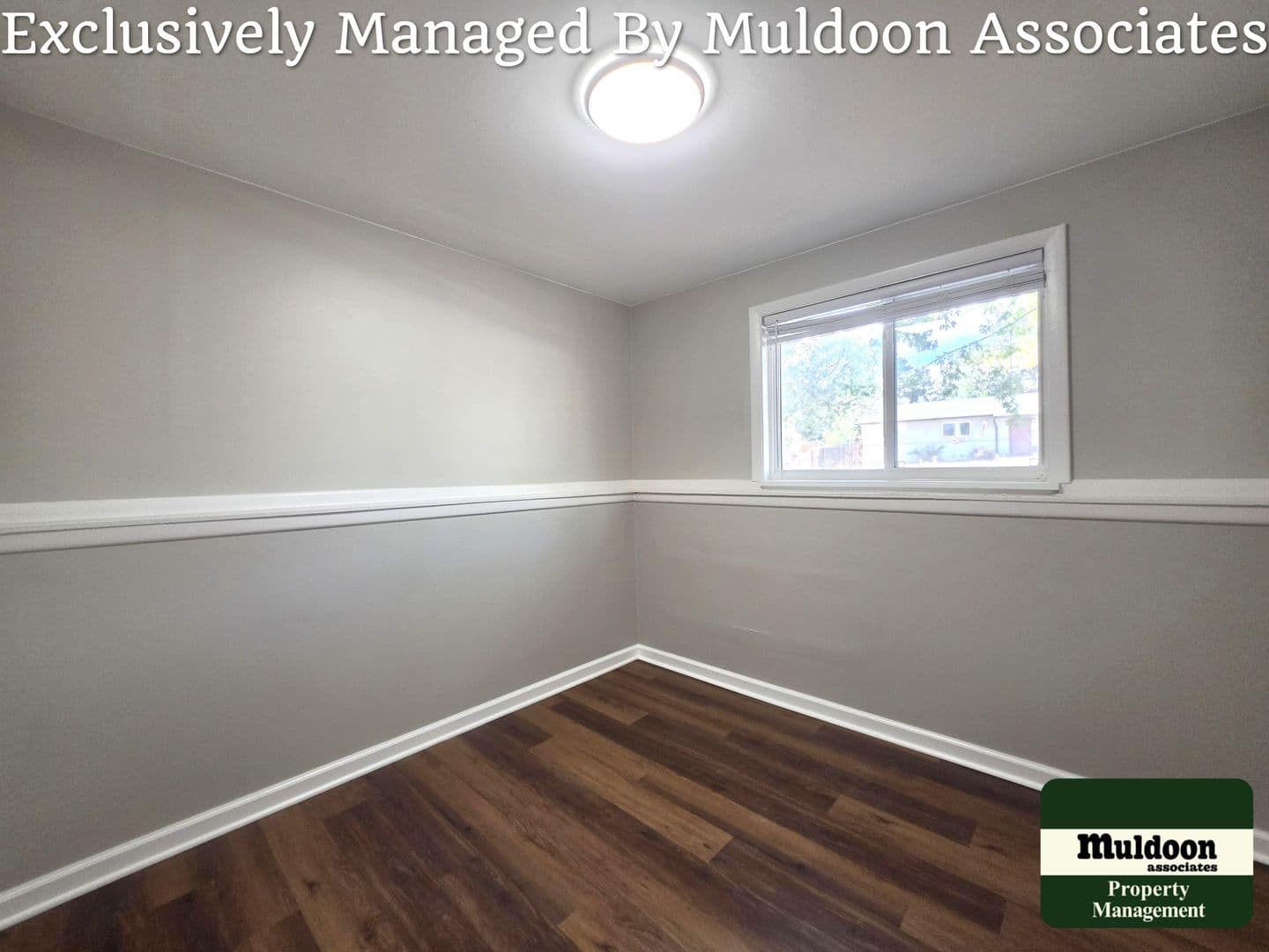 Colorado Springs House: 1243 Chiricahua Dr