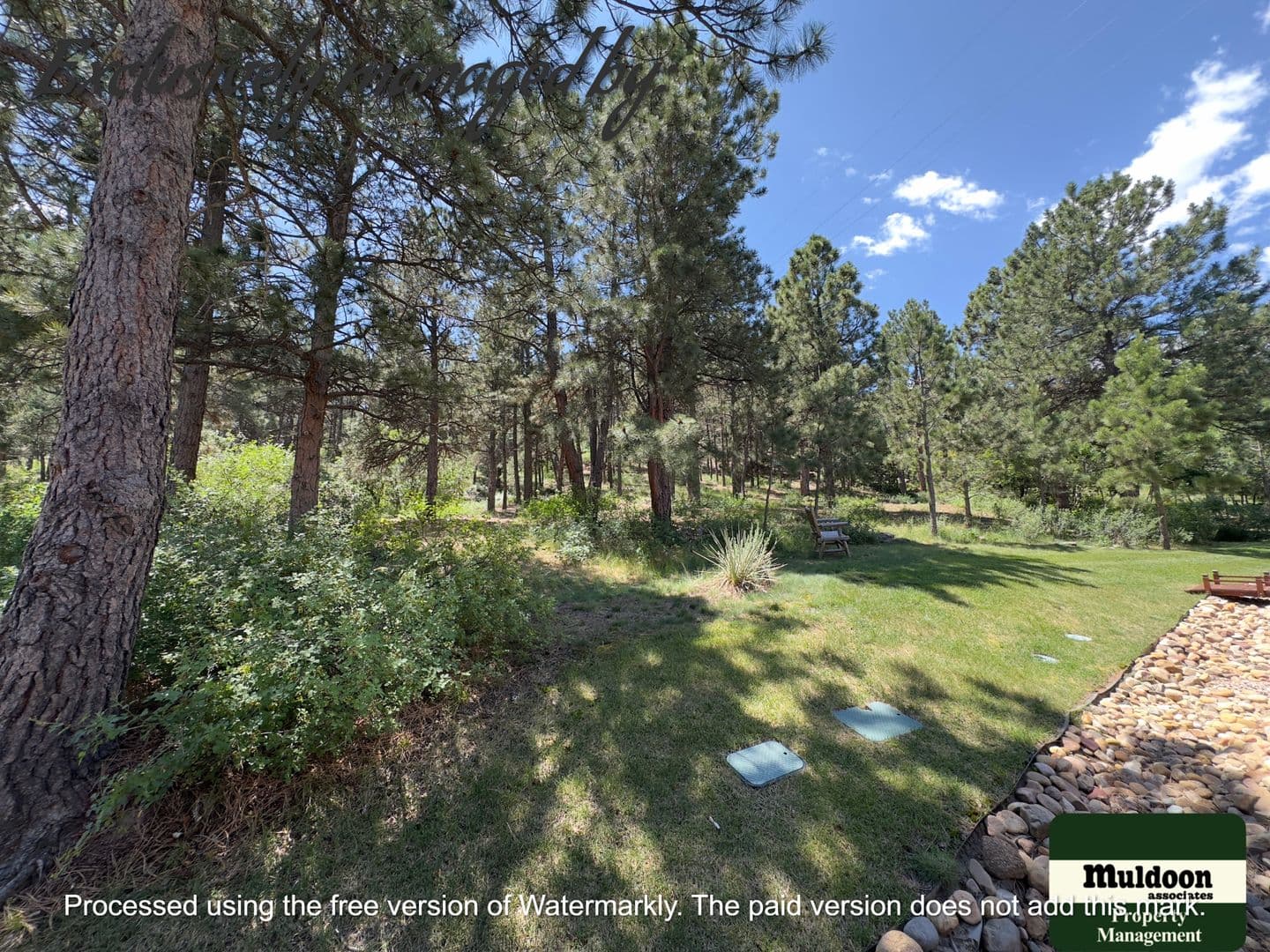 Colorado Springs House: 2247 Conservatory Pt