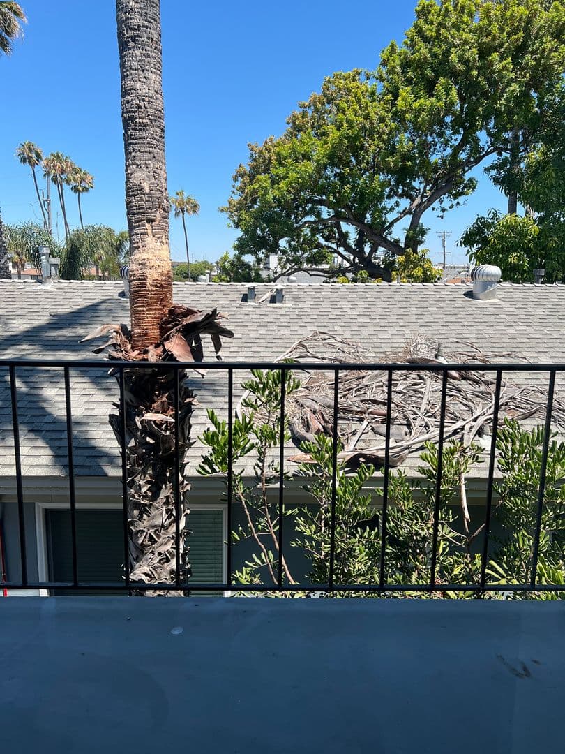 San Diego Apartment: 3929 Kansas Street