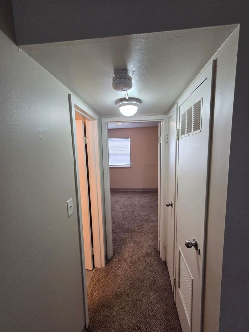 Warrensburg Apartment: 317 Franklin Ave