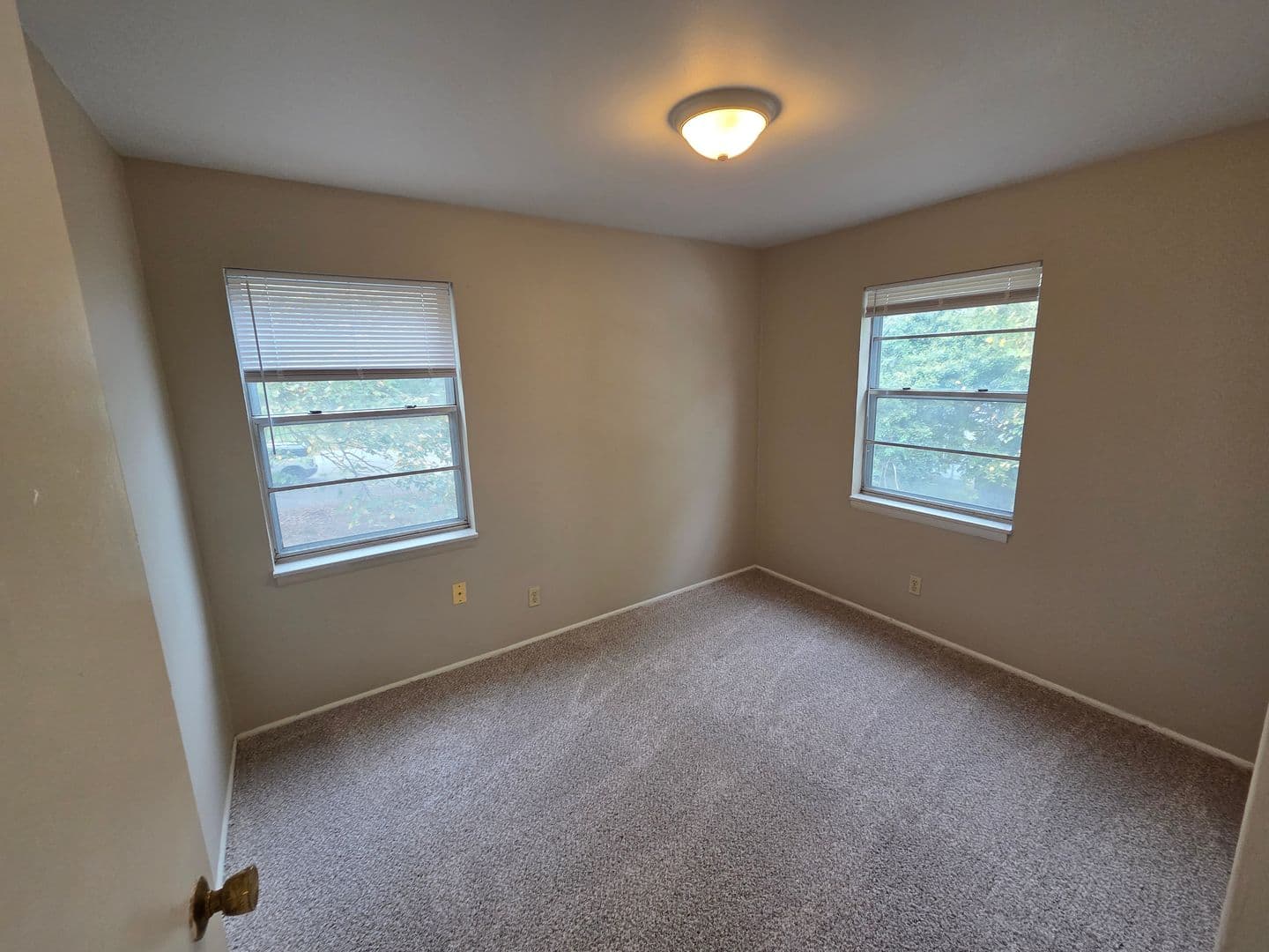 Warrensburg Apartment: 317 Franklin Ave