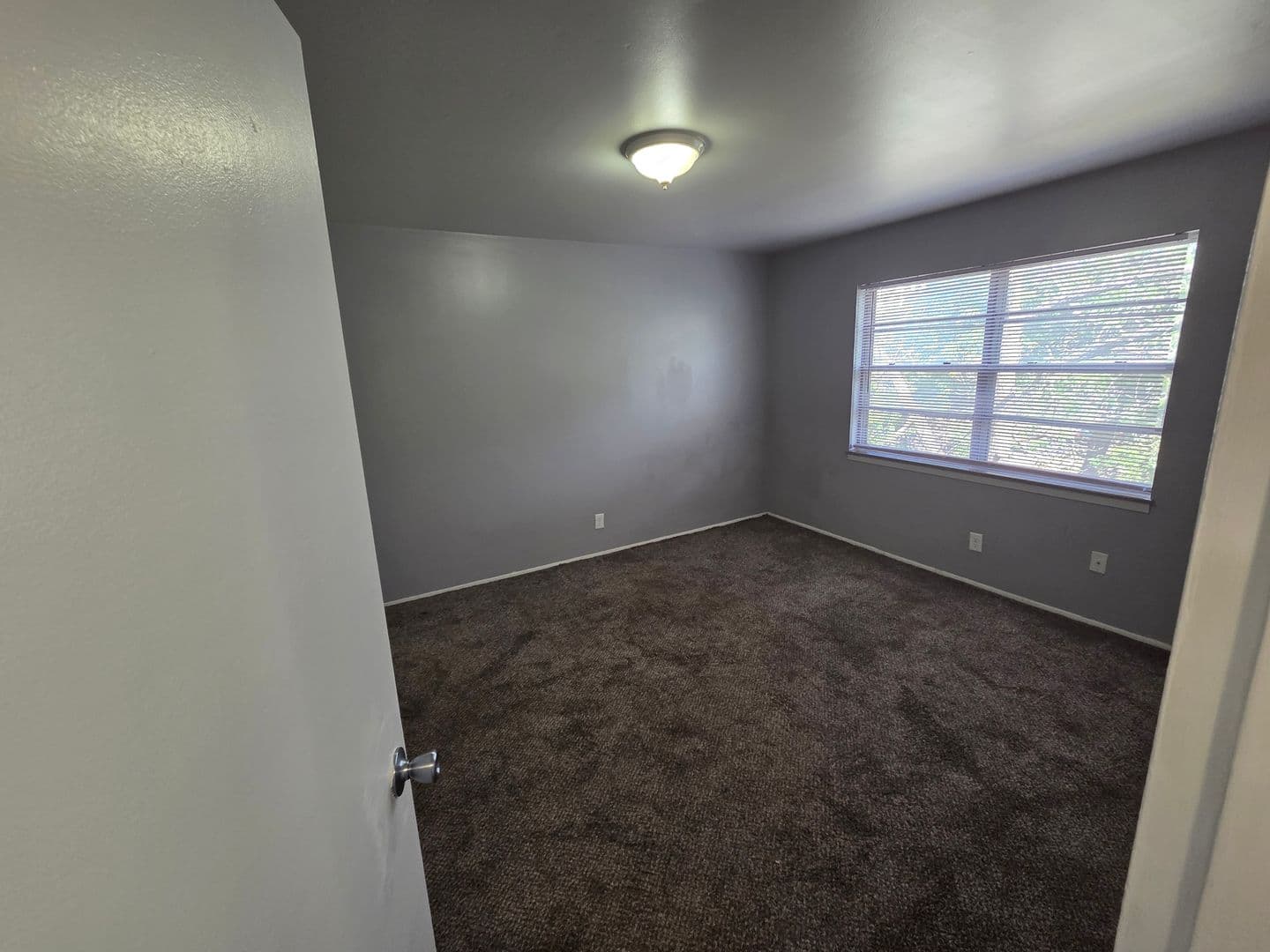Warrensburg Apartment: 317 Franklin Ave