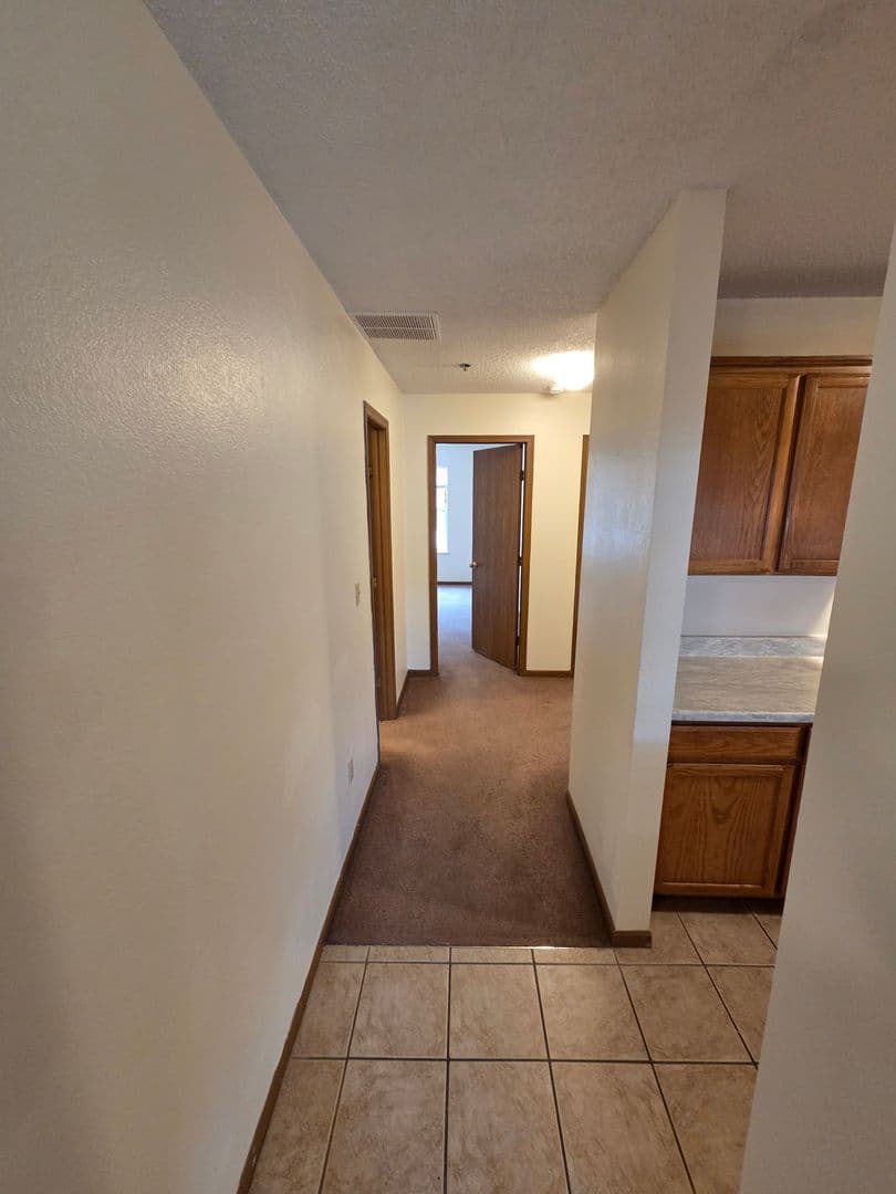 Warrensburg Apartment: 211 McGoodwin St