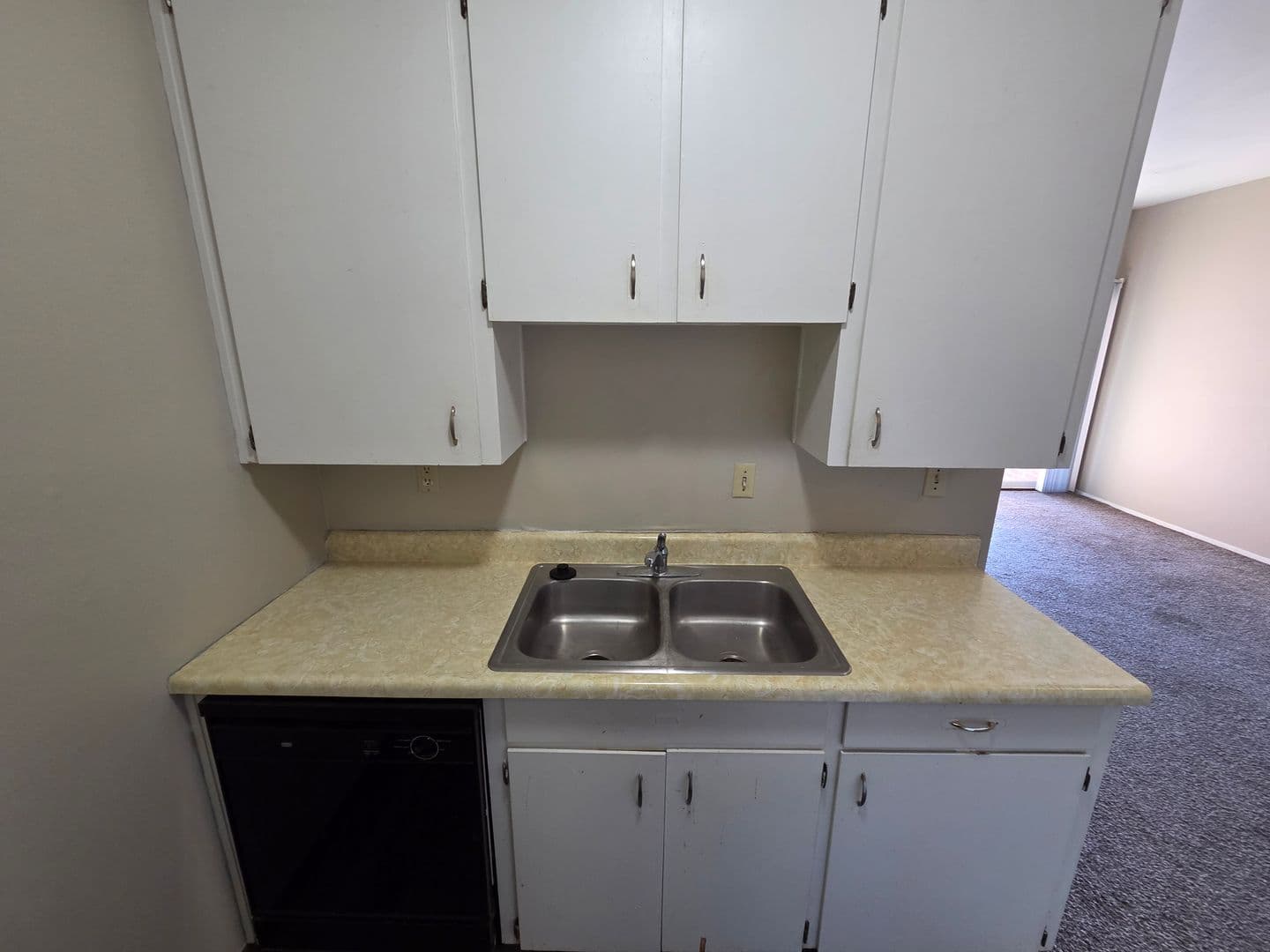 Warrensburg Apartment: 317 Franklin Ave