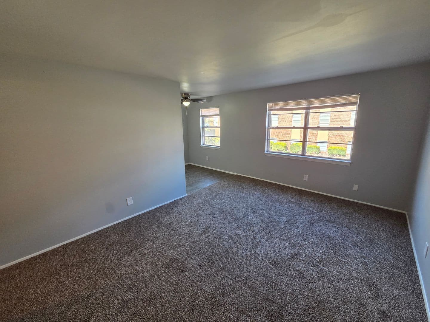 Warrensburg Apartment: 317 Franklin Ave