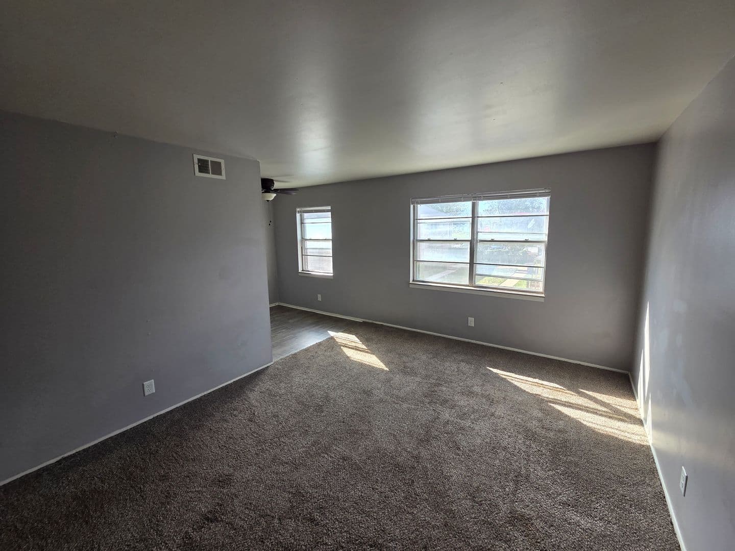 Warrensburg Apartment: 317 Franklin Ave