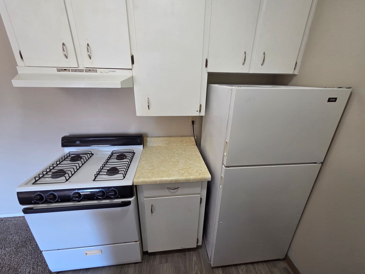 Warrensburg Apartment: 317 Franklin Ave