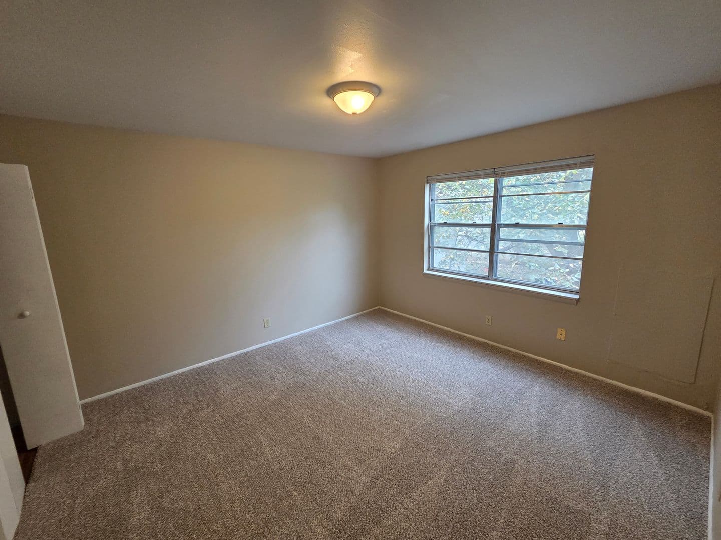 Warrensburg Apartment: 317 Franklin Ave