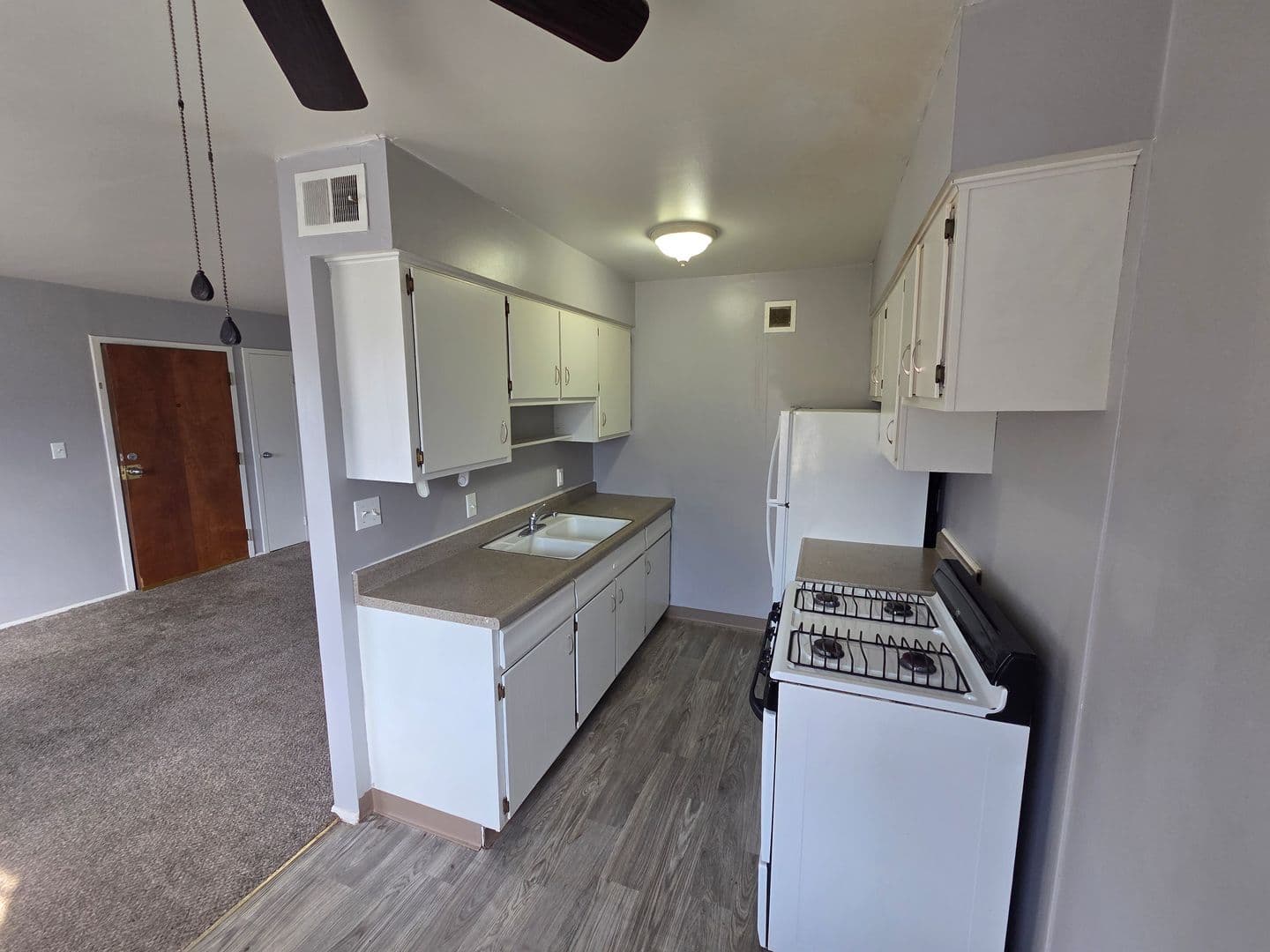 Warrensburg Apartment: 317 Franklin Ave
