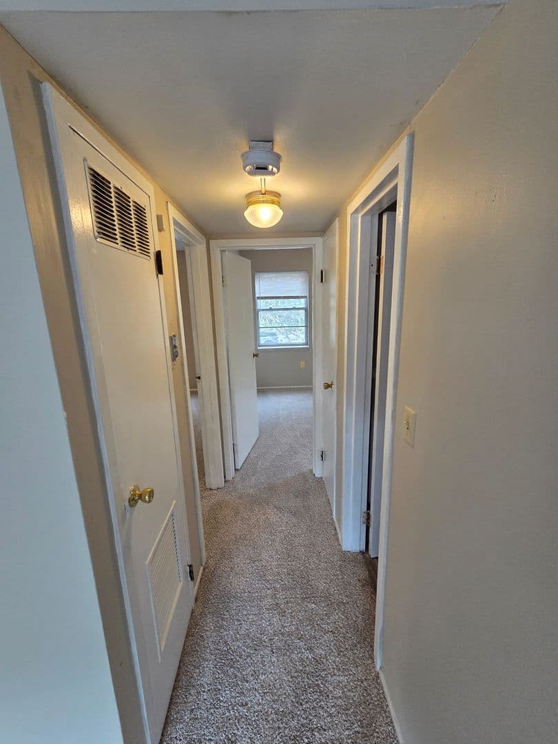Warrensburg Apartment: 317 Franklin Ave