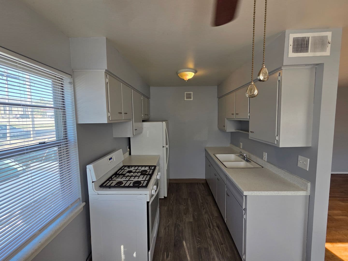 Warrensburg Apartment: 317 Franklin Ave
