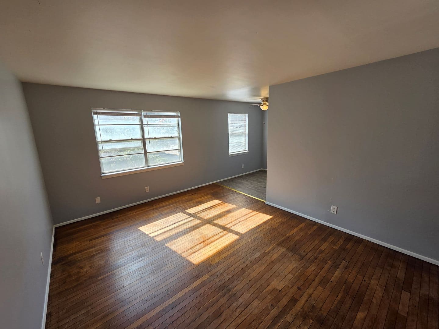 Warrensburg Apartment: 317 Franklin Ave