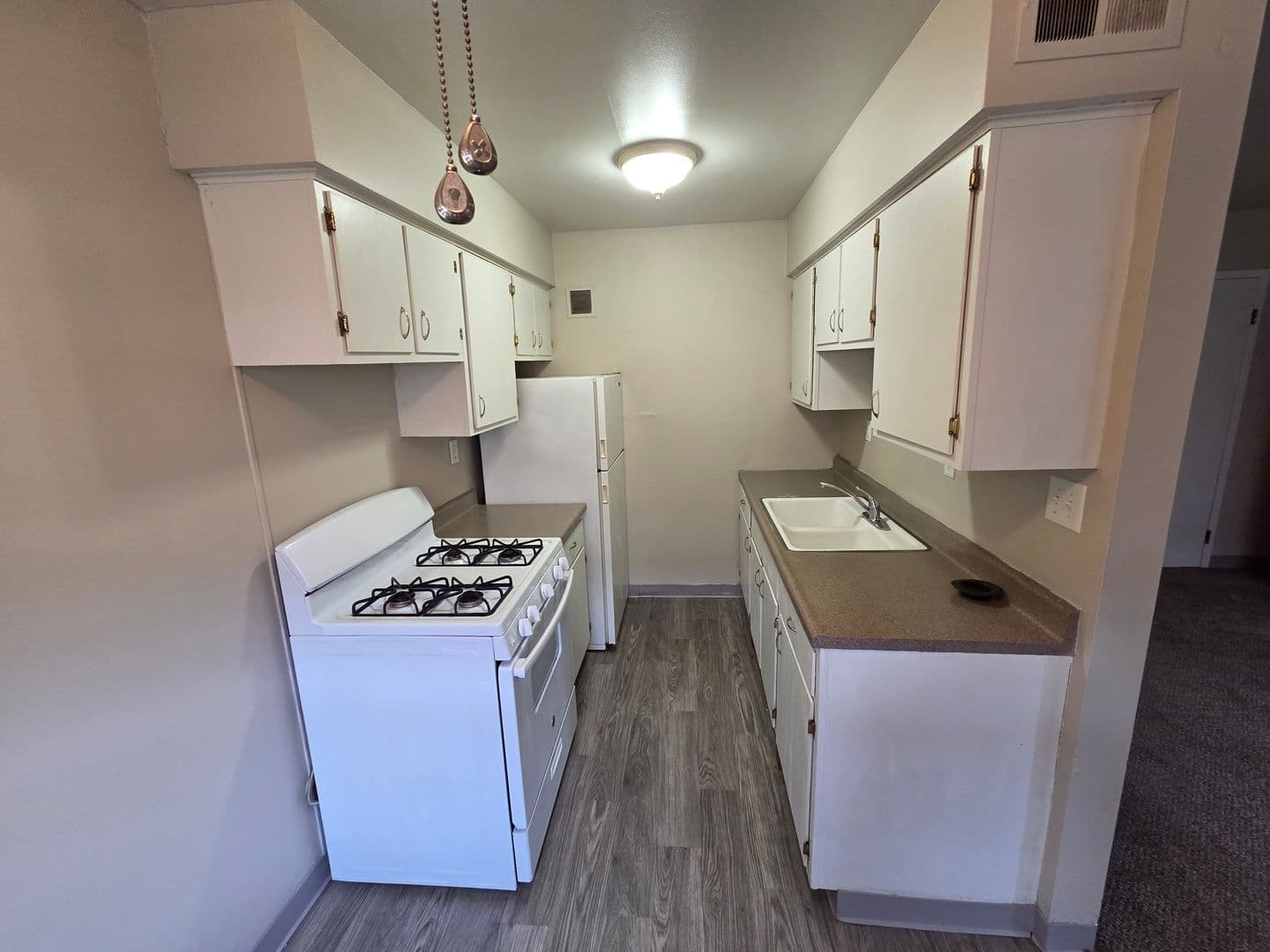 Warrensburg Apartment: 317 Franklin Ave