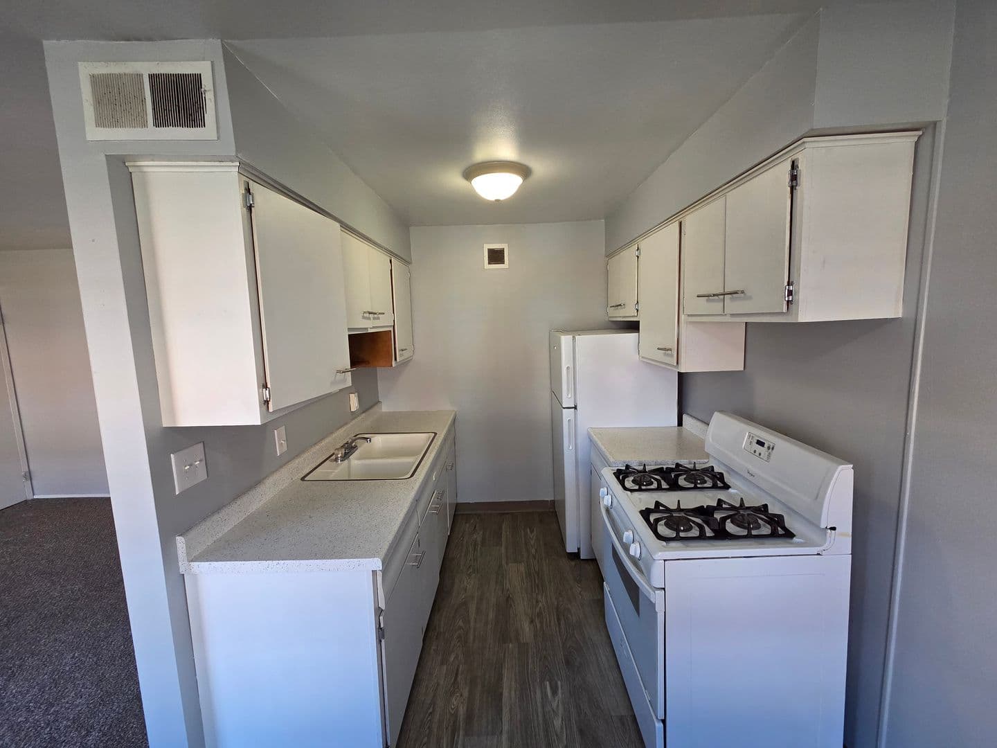 Warrensburg Apartment: 317 Franklin Ave