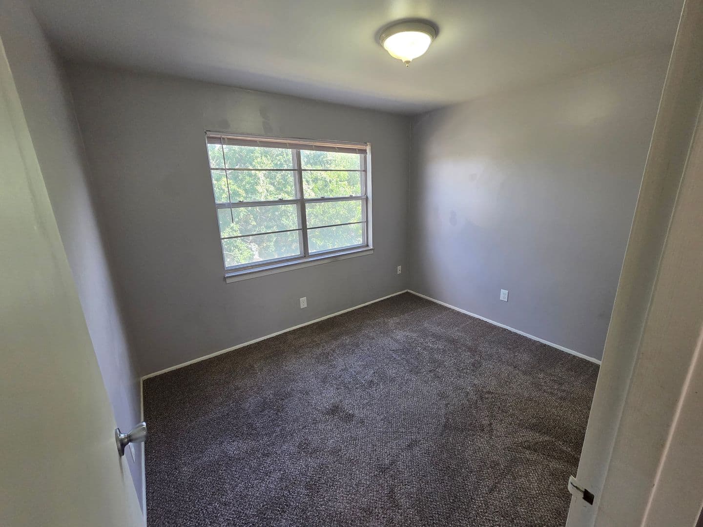Warrensburg Apartment: 317 Franklin Ave