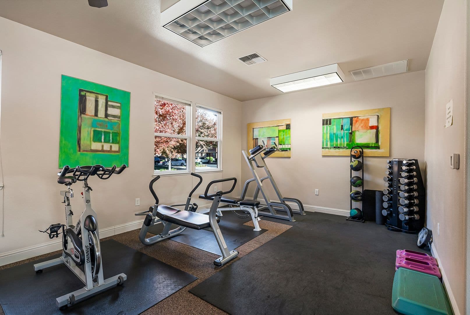 Chico Apartment: 101 Risa Way