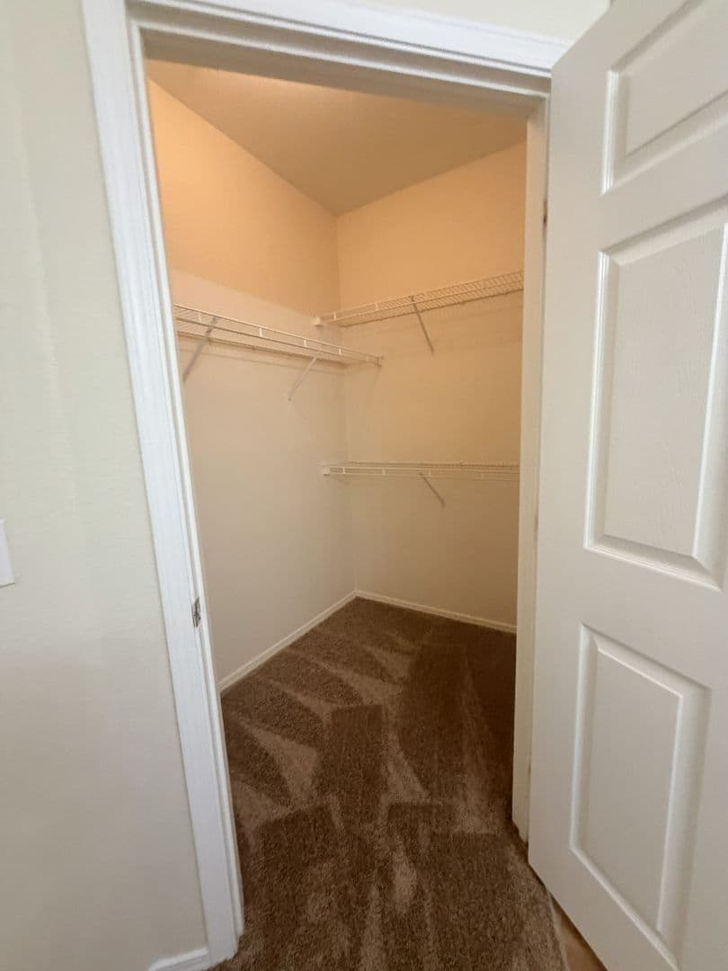 Temple Terrace Condo: 12906 Sanctuary Cove Dr #104