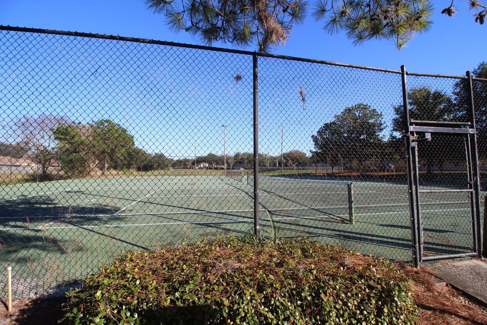 Tampa Condo: 10110 Winsford Oak Blvd #608