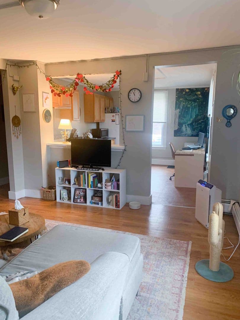 Northampton Apartment: 149 Elm Street