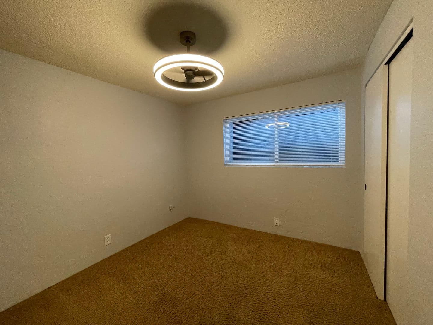 Phoenix Apartment: 431 - 437 Elm St