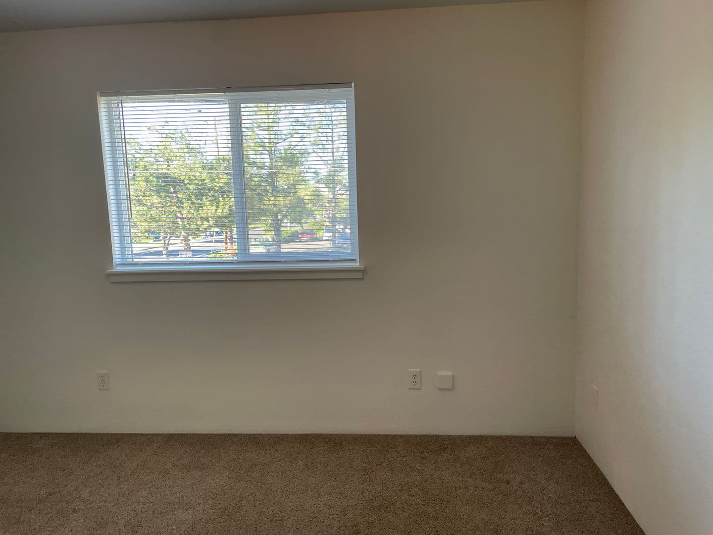 Medford Apartment: 103 Hamilton St