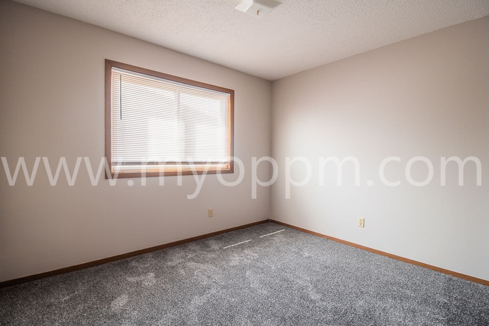 Bennington Apartment: 15605 N 4th St