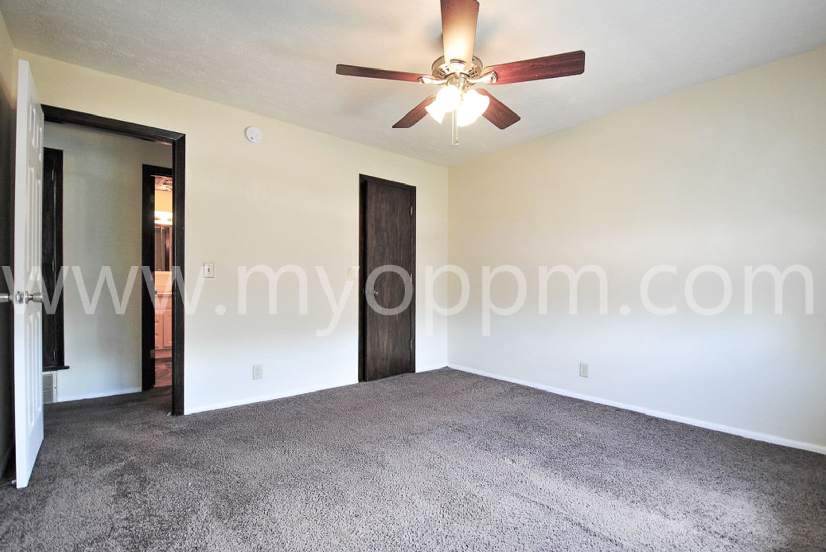 Bellevue Apartment: 818 Lincoln Rd