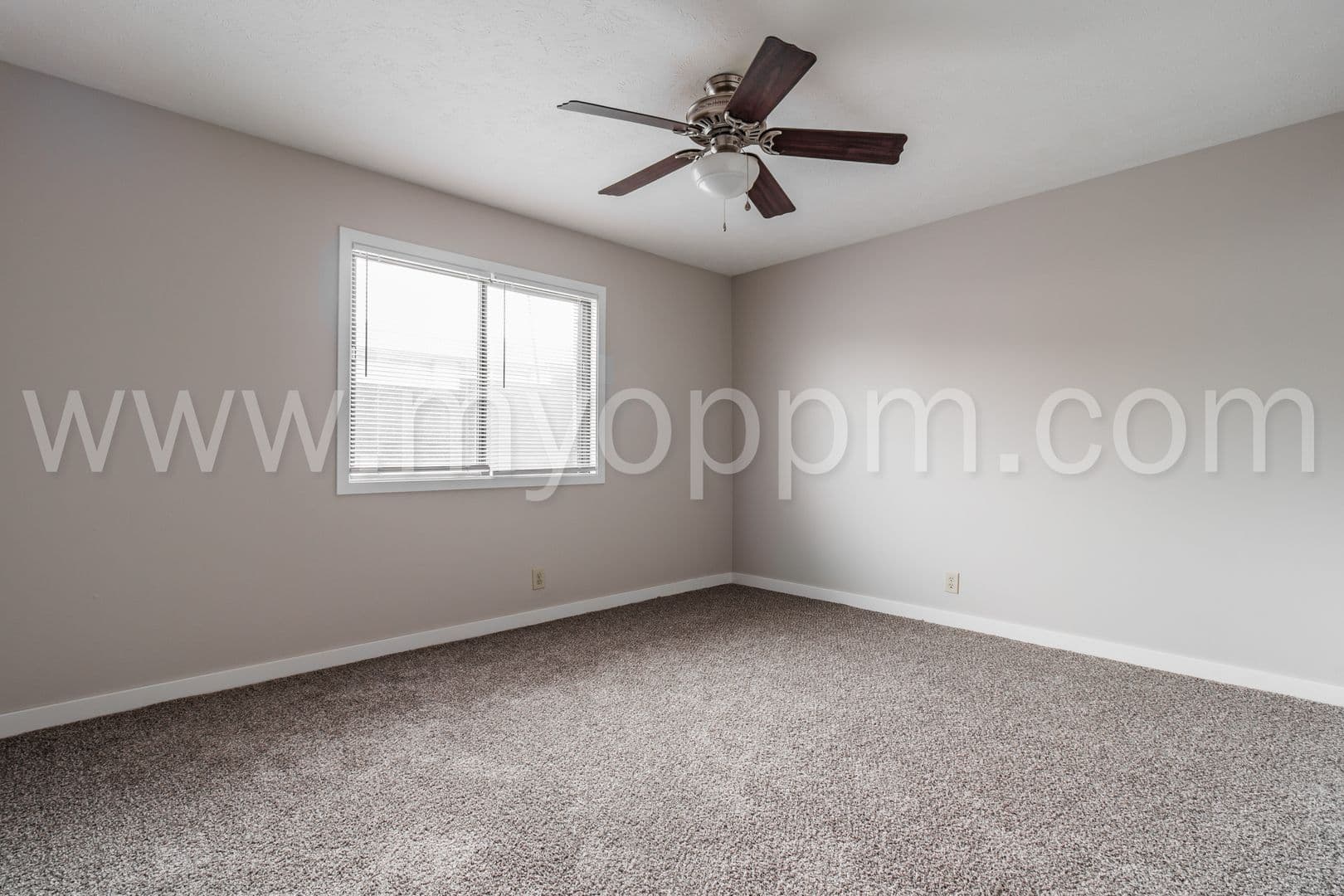 Omaha Apartment: 1711/1715 N 73rd St