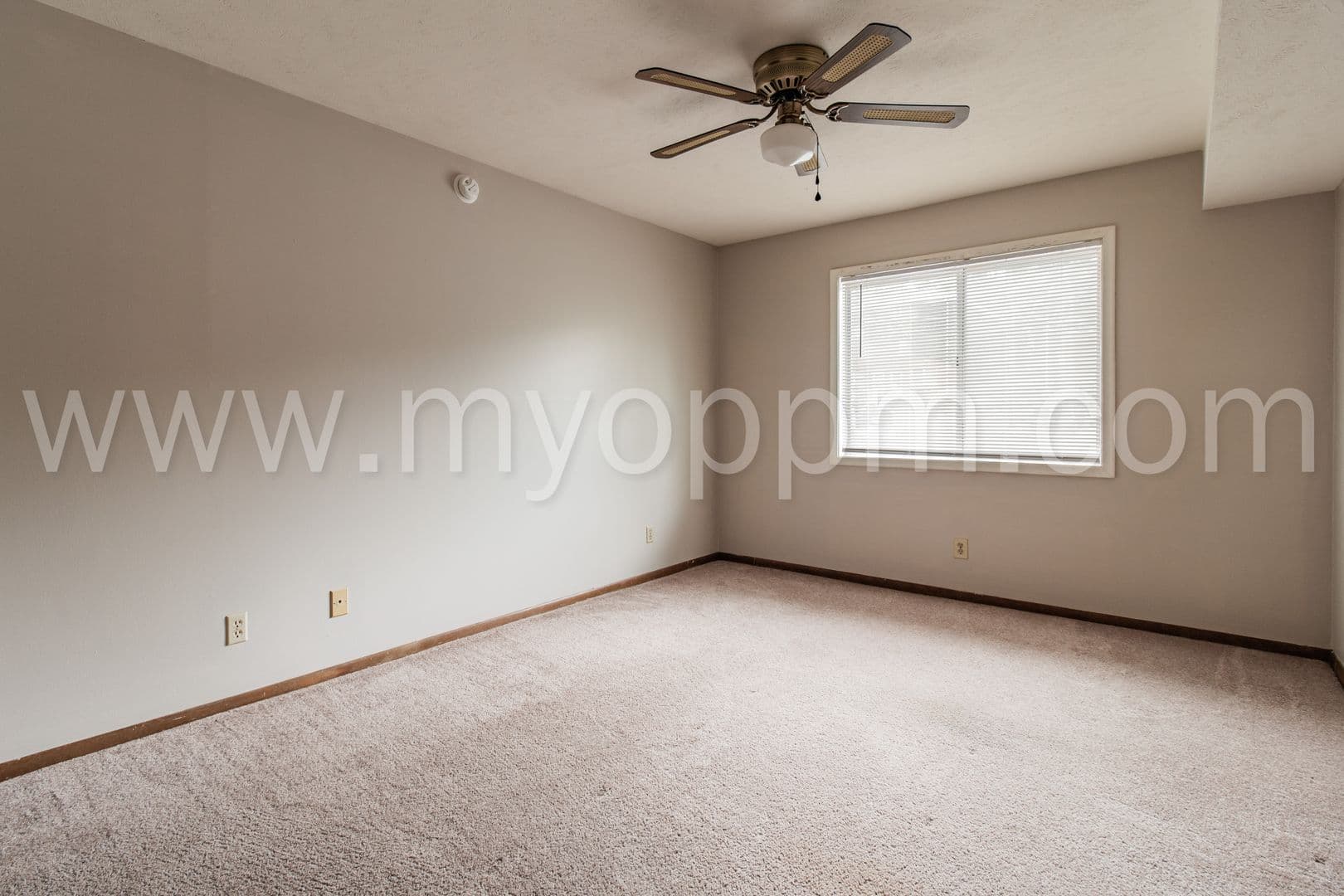 Omaha Apartment: 1016 N 47th Ave