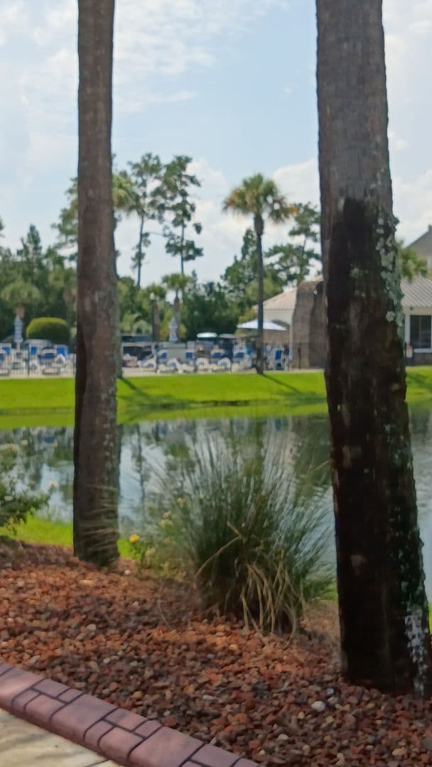 Surfside Beach Townhome: 106 Birch N Coppice Dr.  SC 29575