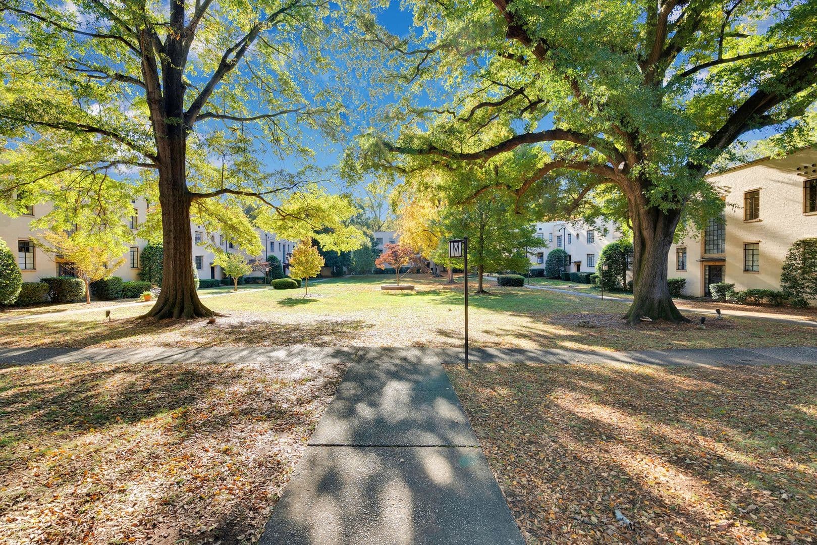 Charlotte House: 1121 Myrtle Avenue #65