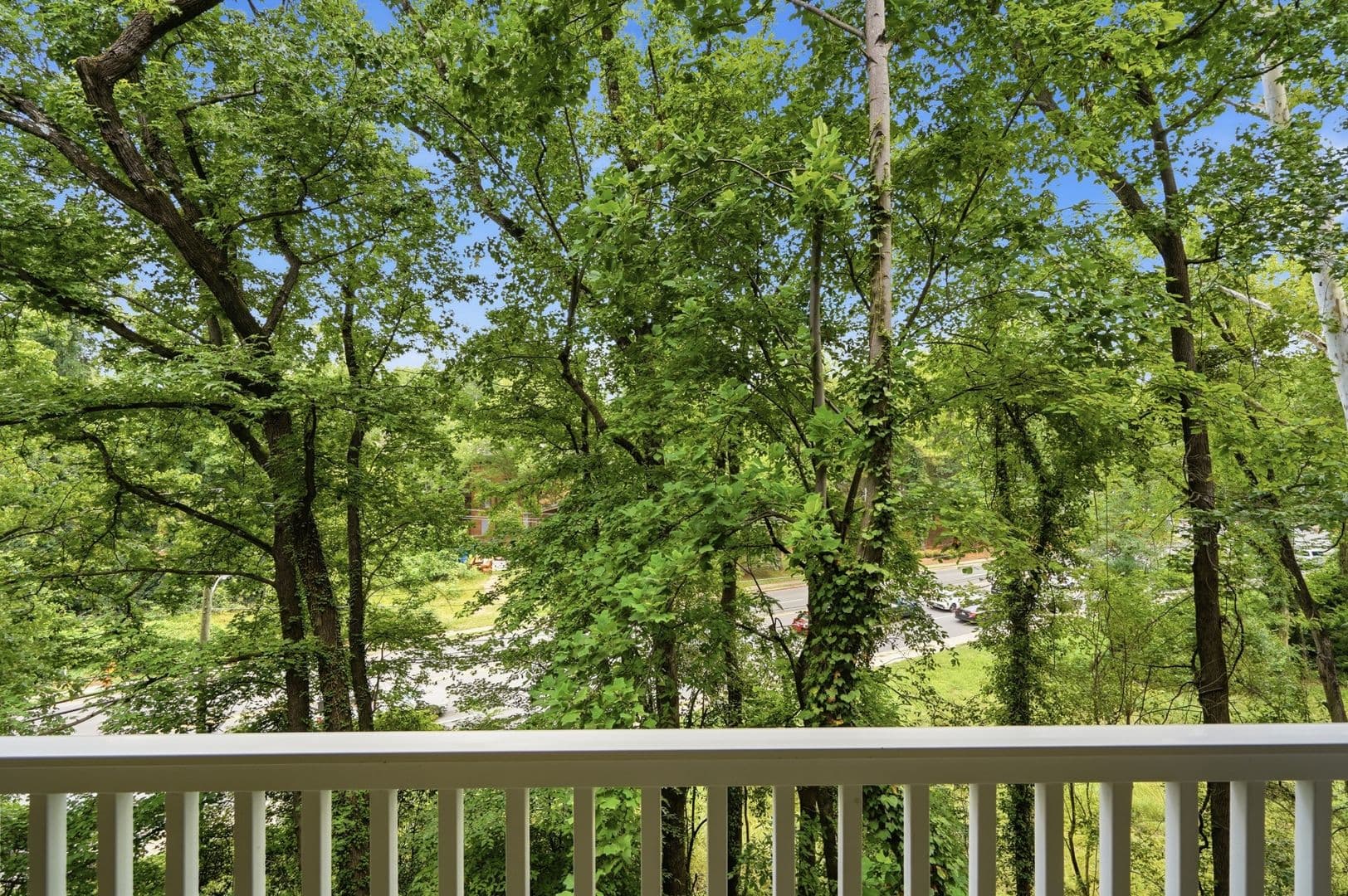 Charlotte Condo: 1000 E Woodlawn Rd #216