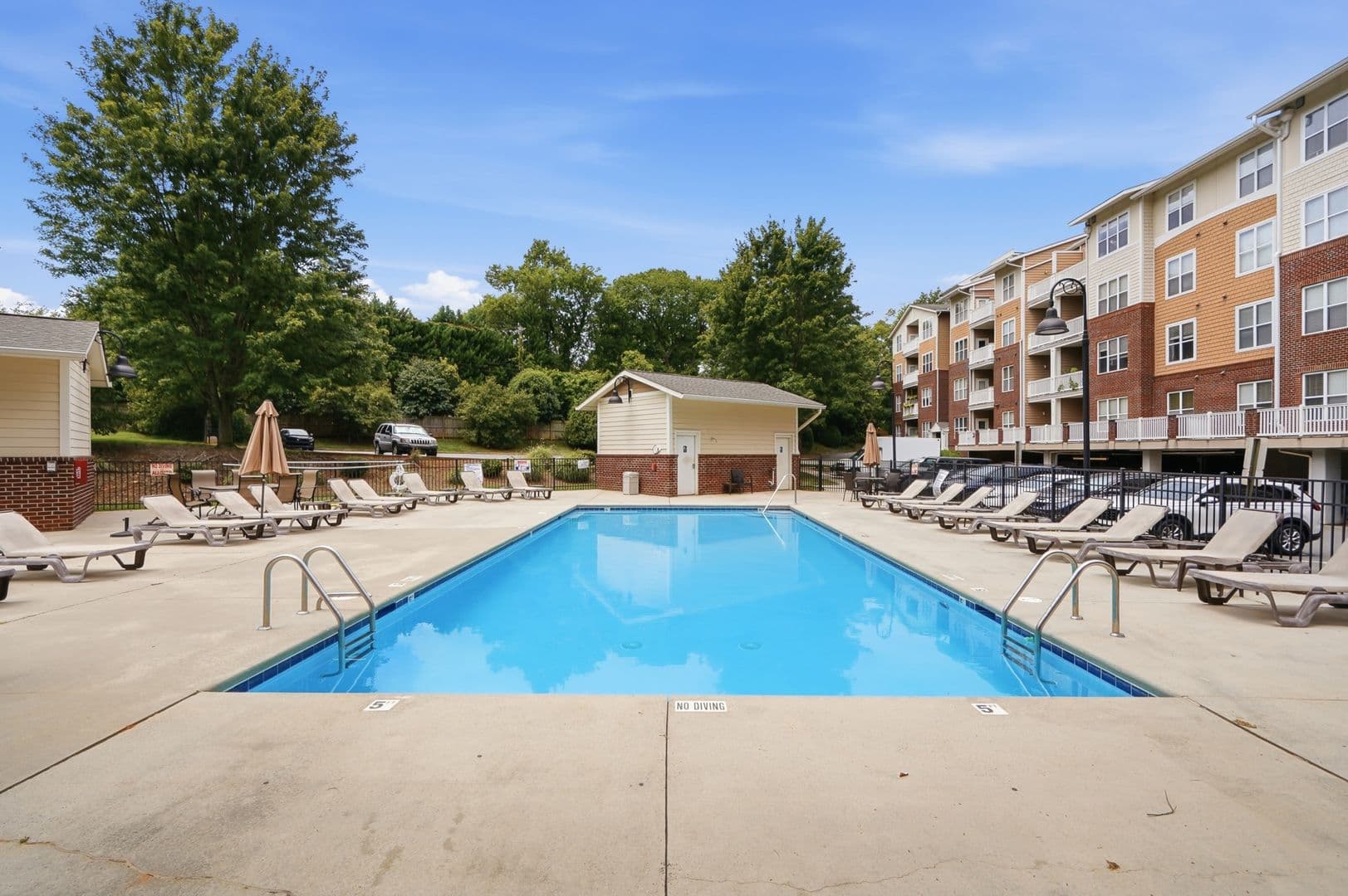 Charlotte Condo: 1000 E Woodlawn Rd #216