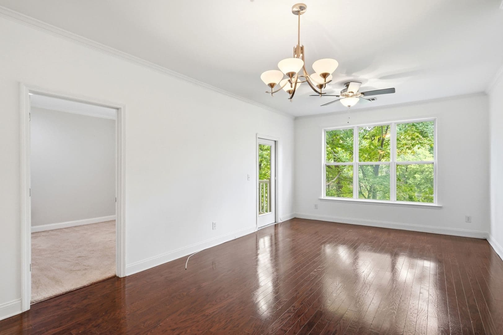 Charlotte Condo: 1000 E Woodlawn Rd #216