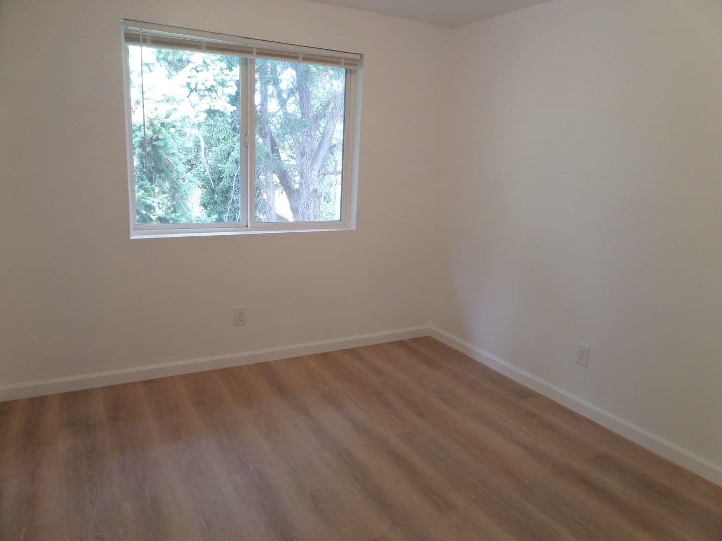 Lakewood Apartment: 4617-4623 127th St SW