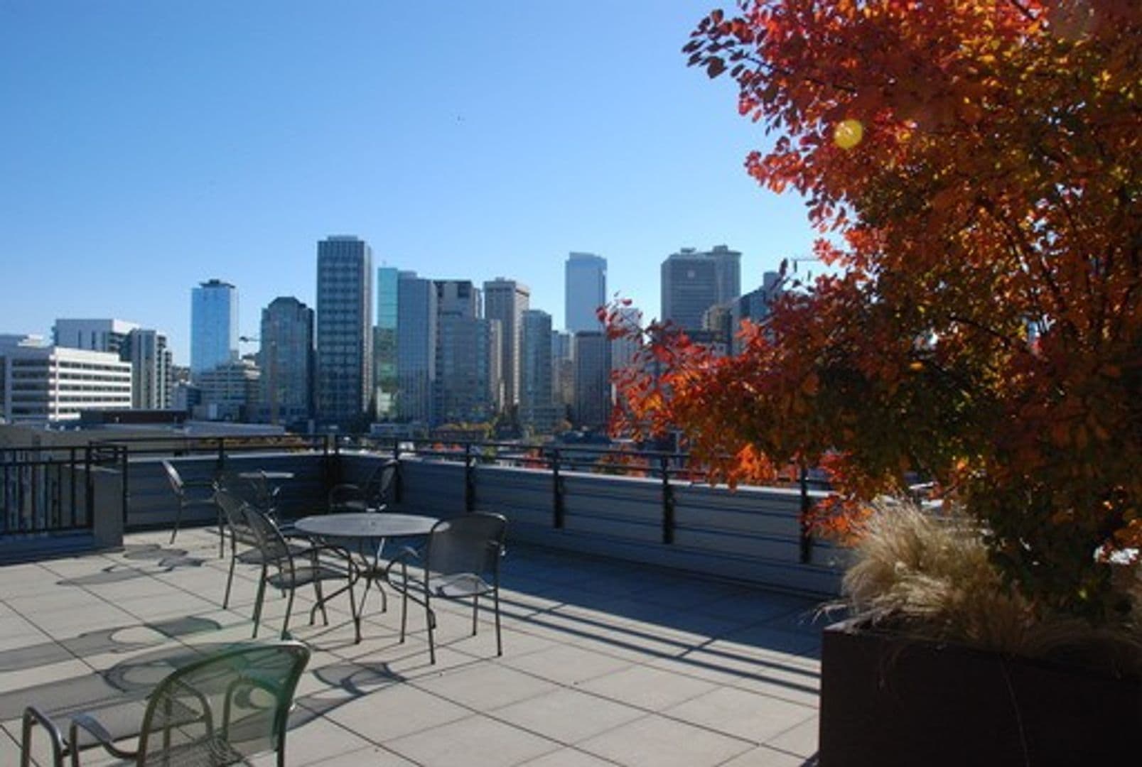 Seattle Condo: 699 John St, Unit #419