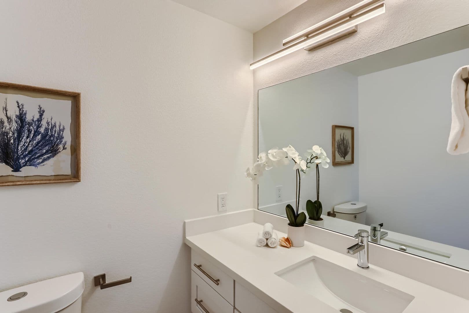 Monroe Apartment: 524 Terrace Street