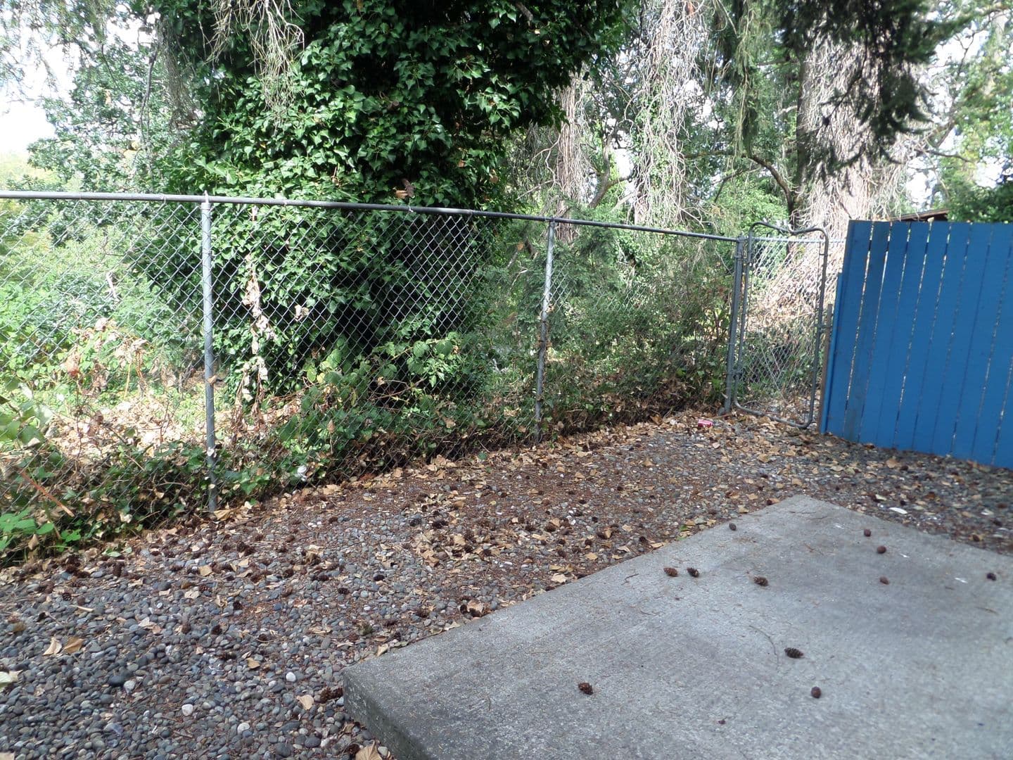 Lakewood Apartment: 4617-4623 127th St SW