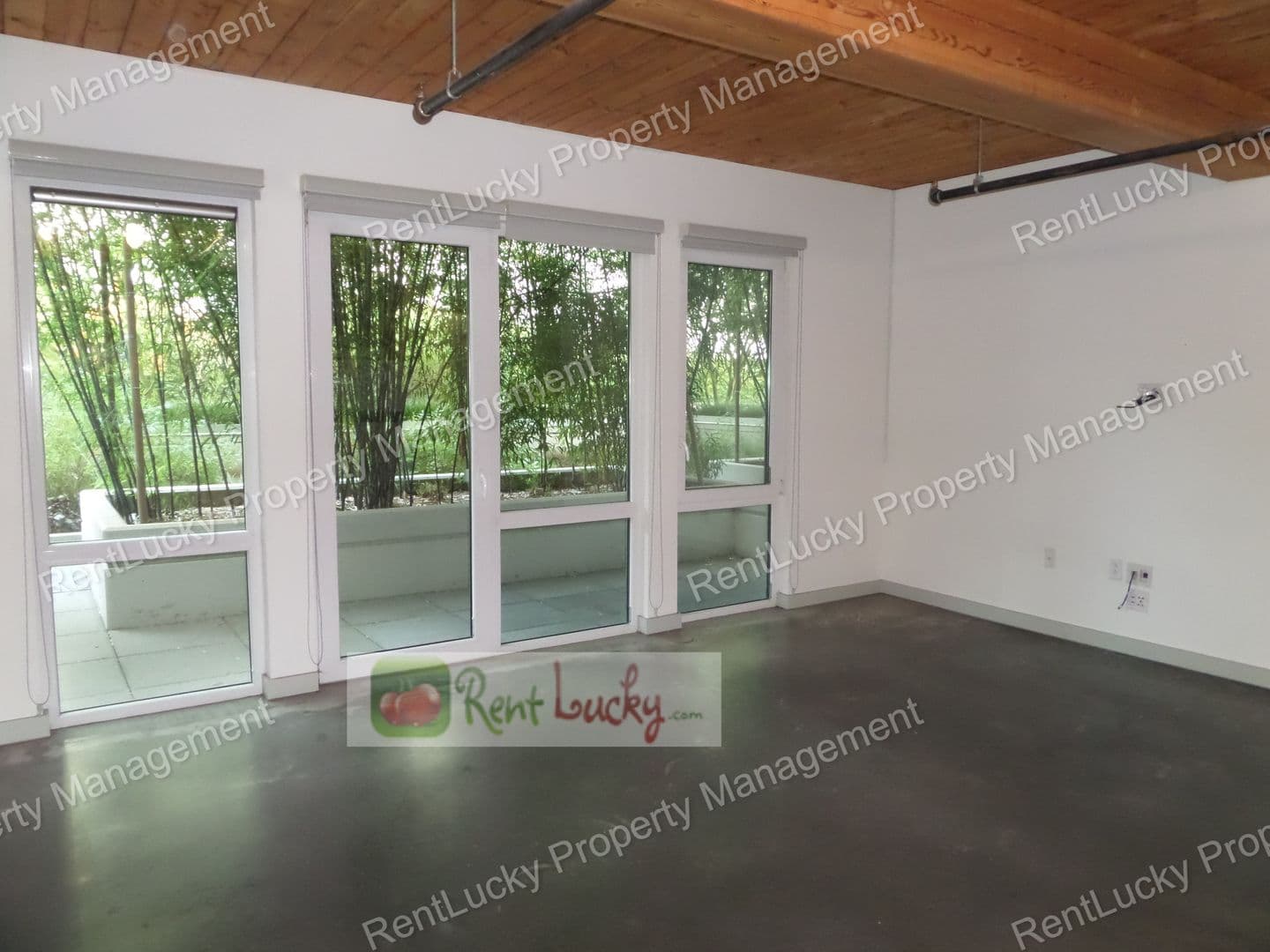 Seattle Condo: 401 9th Ave N #217