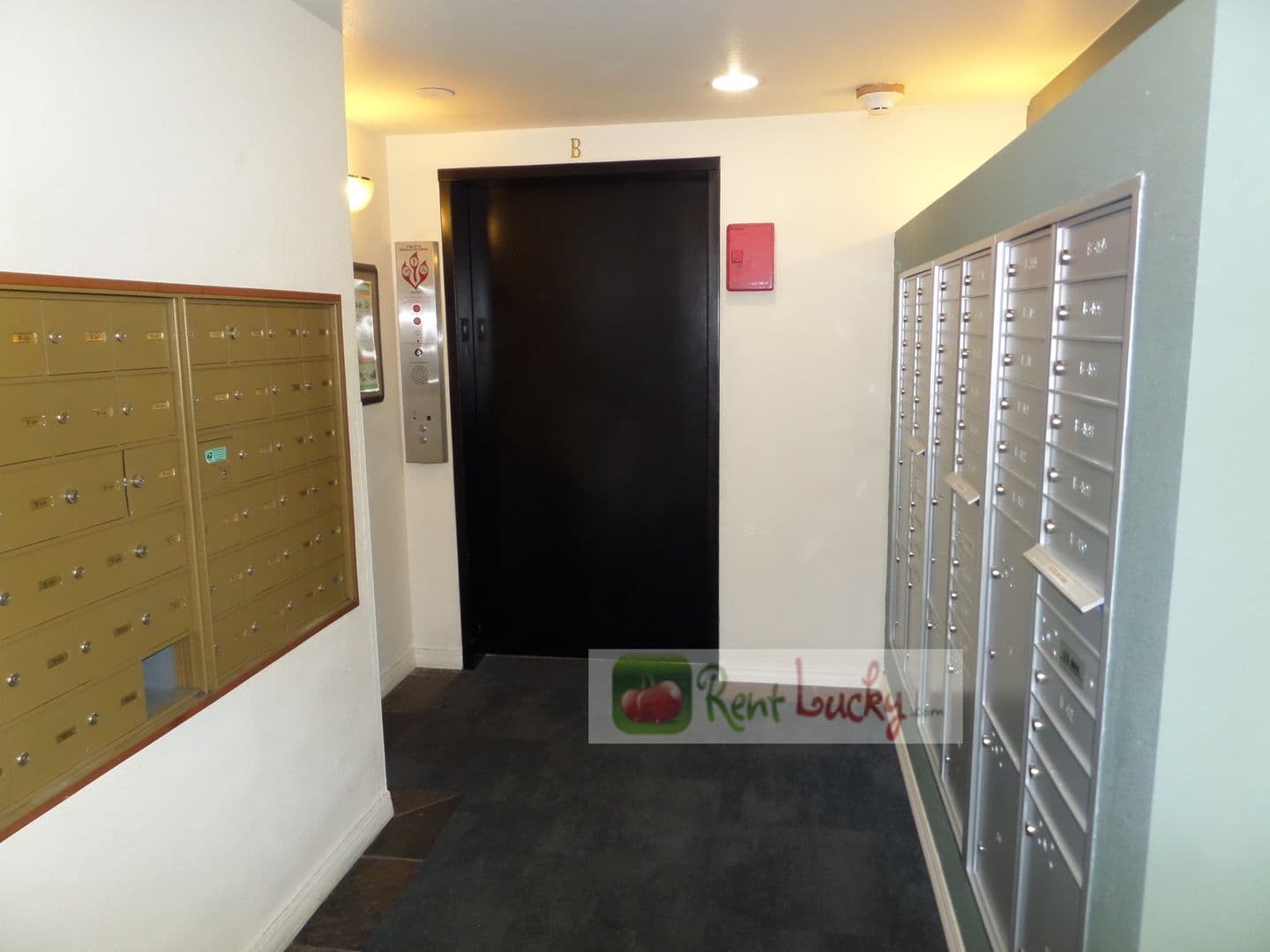 Seattle Condo: 300 10th Ave