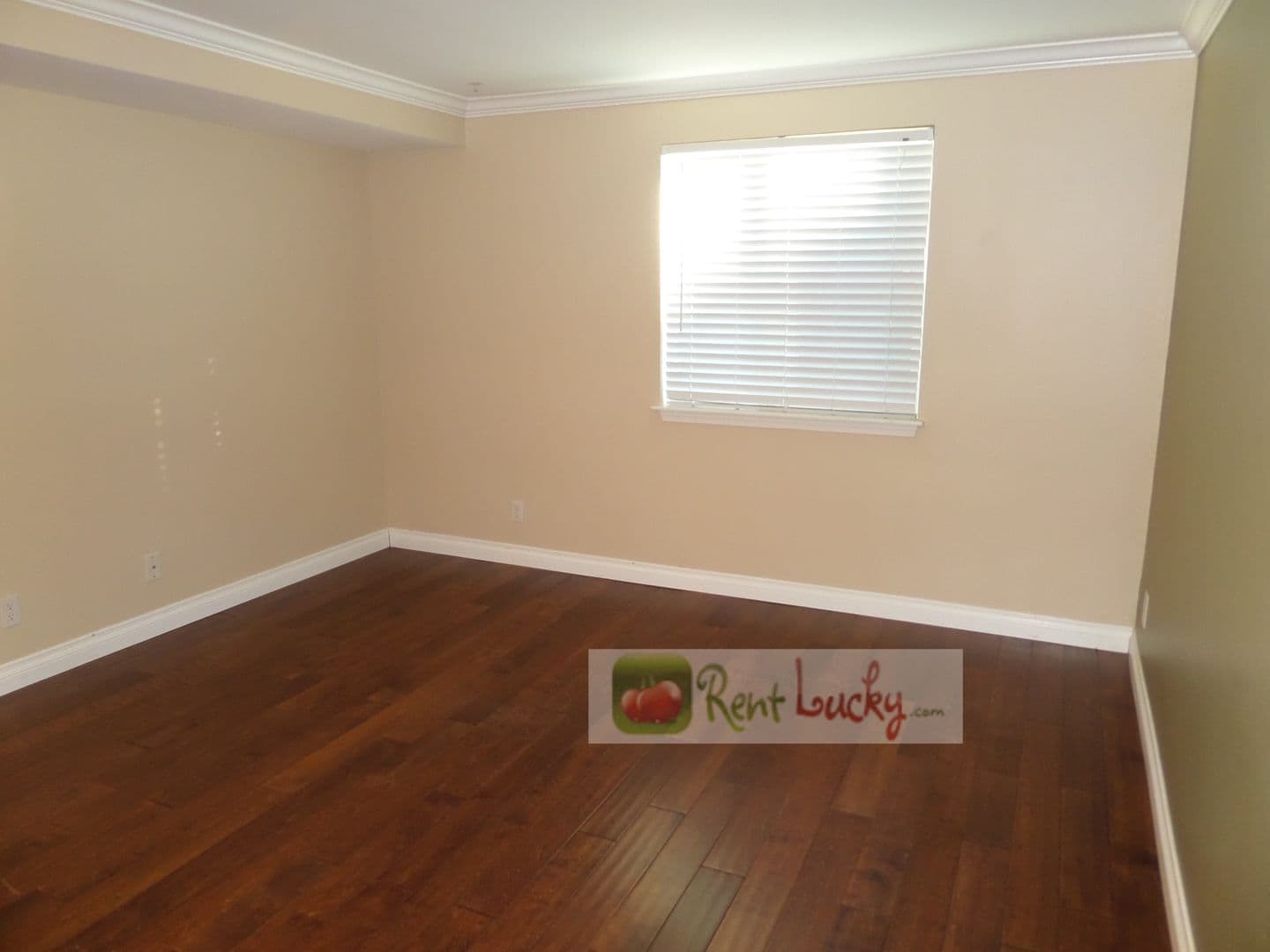 Seattle Condo: 300 10th Ave